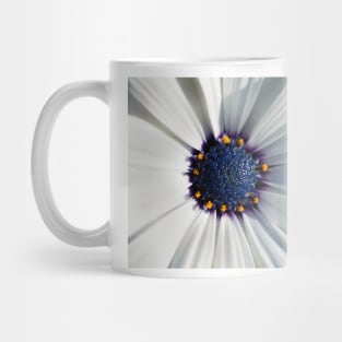 Closeup of white African daisy Mug